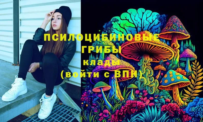 Галлюциногенные грибы MAGIC MUSHROOMS  Энем 